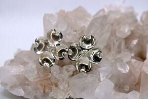 Stuart Nye Dogwood Flower Sterling Silver Screw Back Earrings